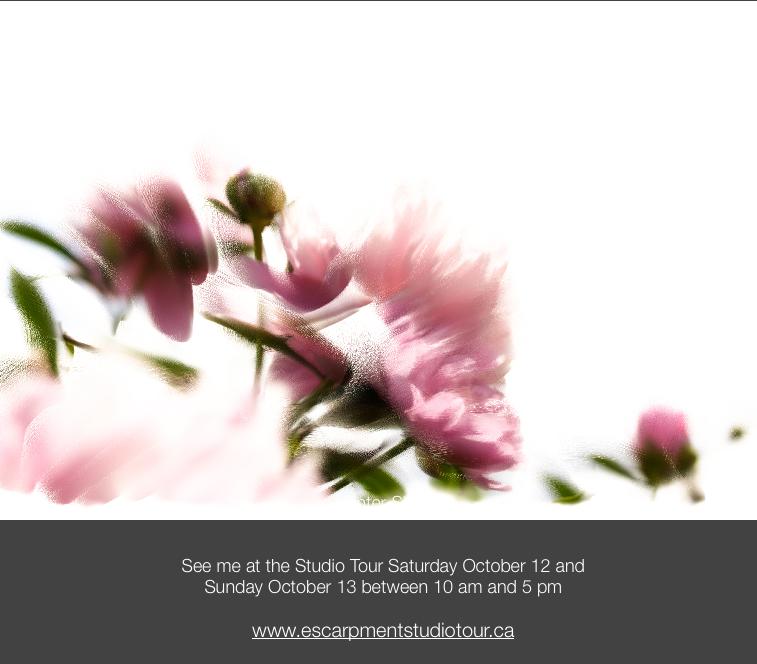 CloneofIMG0812BristleOilseditwarm